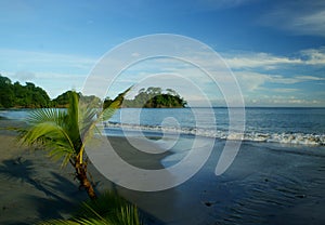 Punta leona beach, Costa Rica