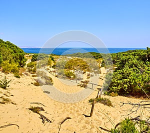 Punta Paloma beach. Tarifa, Cadiz, Andalusia, Spain