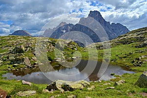 Punta Rolle - Dolomites