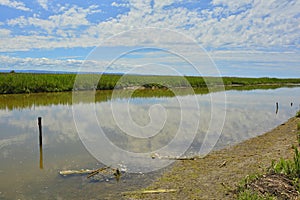 Punta Sdobba Wetland in Italy