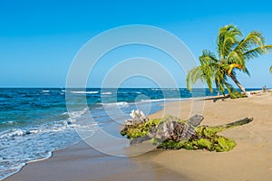 Punta Uva beach in Costa Rica, wild and beautiful caribbean coast