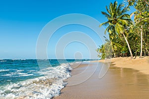 Punta Uva beach in Costa Rica, wild and beautiful caribbean coast photo