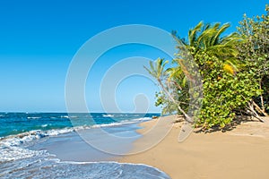 Punta Uva beach in Costa Rica, wild and beautiful caribbean coast