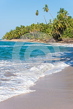 Punta Uva beach in Costa Rica, wild and beautiful caribbean coast