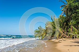 Punta Uva beach in Costa Rica, wild and beautiful caribbean coast