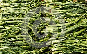 Puntarelle, asparagus chicory