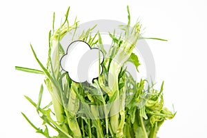 Puntarelle chicory and white label