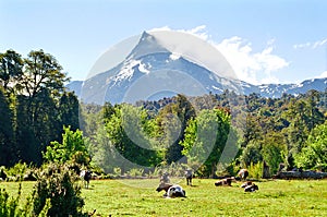 Puntiagudo Volcano, Chile photo