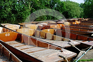 Punts at Cherwell Boathouse