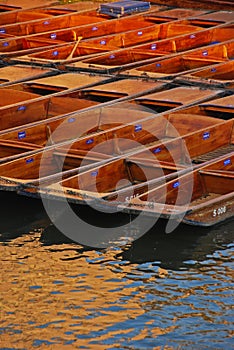 Punts Docked at Riverside in Cambridge