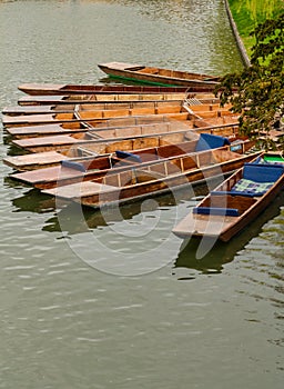 Punts moored on the bank of the river Cam, Cambridge, England