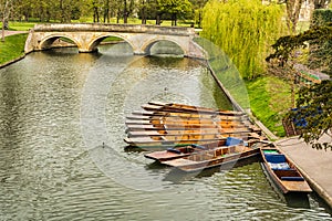 Punts moored on the bank of the river Cam, Cambridge, England