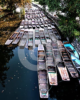 Punts on the Thames in Oxford