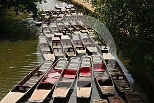 Punts on the Oxford canal