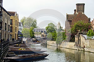 Punts on river Cam