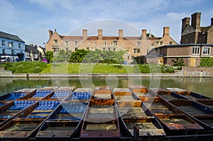 Punts on river Cam