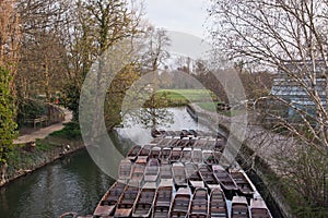 Punts on the river