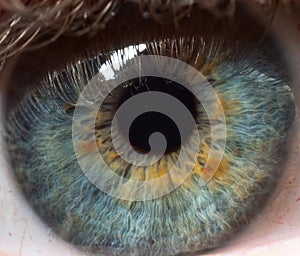 Pupil of human eye