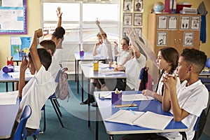 Pupils raise hands in a lesson at primary school, side view