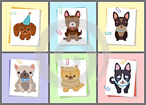 Puppies and Dogs Poster Set Vector Illustration