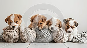 puppies playing with knit balls, the joy and innocence of the puppies as they interact with the colorful balls, evoking