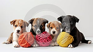 puppies playing with knit balls, the joy and innocence of the puppies as they interact with the colorful balls, evoking