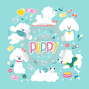 Puppies set. Funny white little poodle dogs in a daily routine. Vector illustration