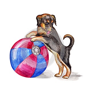 Puppy with a ball, watercolor illustration on a white background
