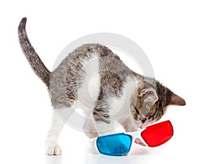 Puppy cat with 3d glasses