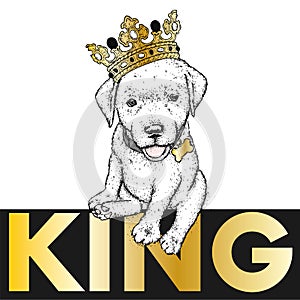 Puppy in a crown. Vector illustration for a postcard or a poster, print for clothes. Cute dog. Labrador. Clothes and accessories.