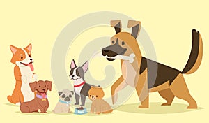 Puppy cute playing dogs characters funny purebred comic happy mammal doggy breed vector illustration.