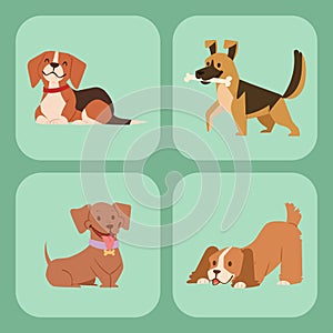 Puppy cute playing dogs characters funny purebred comic happy mammal doggy breed vector illustration.