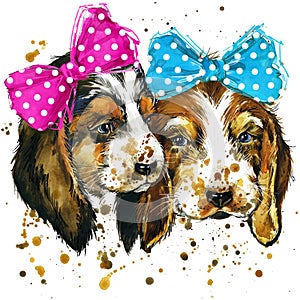 Puppy dog illustration with splash watercolor textured background