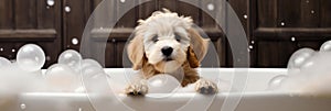 Puppy in Foam Bubble Bath, generative AI