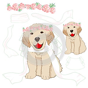 Puppy Golden Retriever Bride with Crown Pink Rose Flower, White Veil. Baby Dog Labrador Valentine Day. Vector Illustration.