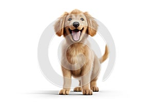 a puppy Golden Retriever dog isolated on white background. Generative ai