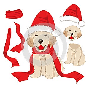 Puppy Golden Retriever with Santa Hat and Scarf. Baby Dog Labrador Greeting Card Christmas Day on White Background.