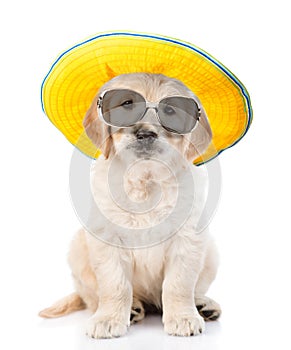 puppy golden retriever in sunglasses and hat looking at camera. isolated on white background