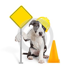 Puppy Holding Blank Construction Sign