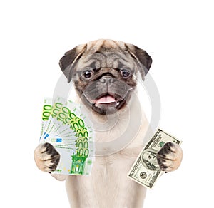 Puppy holding dollar and euro in their hands. isolated on white background