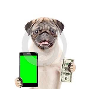 Puppy holding a smart phone and dollars. isolated on white background
