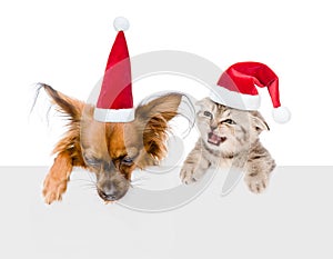 Puppy and kitten with red christmas hats peeking from behind empty board. isolated on white background