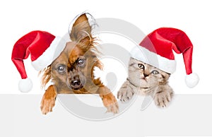 Puppy and kitten with red christmas hats peeking from behind empty board and looking at camera. isolated on white background