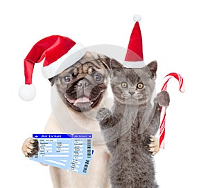 Puppy and kitten in red christmas hats with tickets. isolated on white background