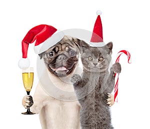 Puppy and kitten in red santa hats holding glass of champagne and candy cane. isolated on white background