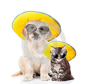 Puppy and kitten in sunglasses and straw hats looking at camera. isolated on white background