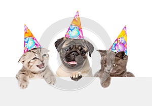 Puppy and kittens in birthday hats peeking from behind empty board. isolated on white