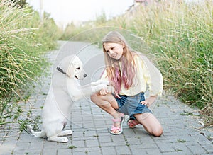 Puppy labrador retriever and little girl