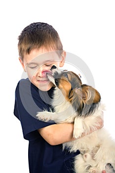 Puppy licking child face