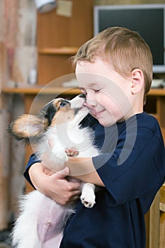 Puppy licking childs face